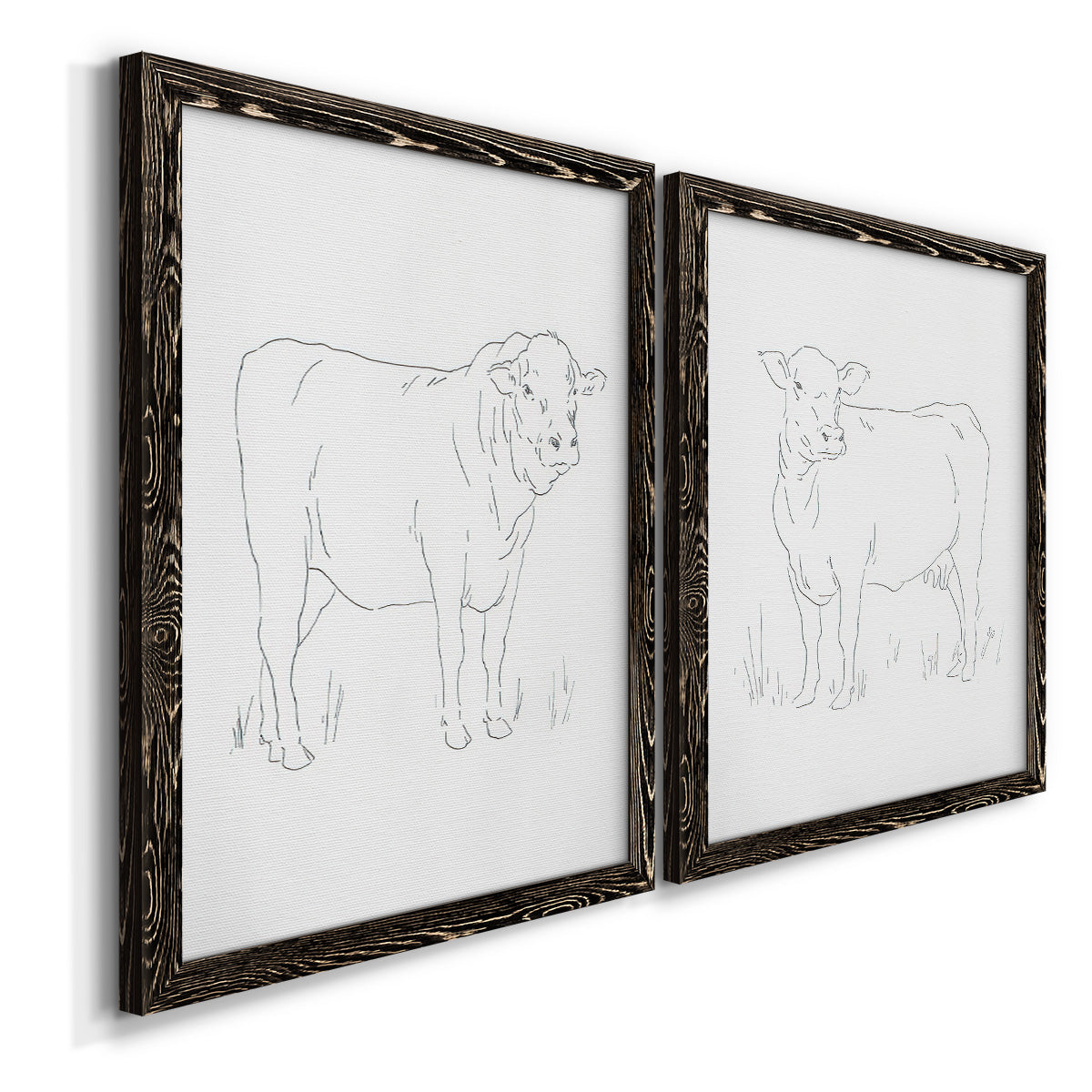 Angled view of a set of two black barnwood framed canvas prints featuring two minimalist livestock sketches featuring simple contour drawings of standing cows.