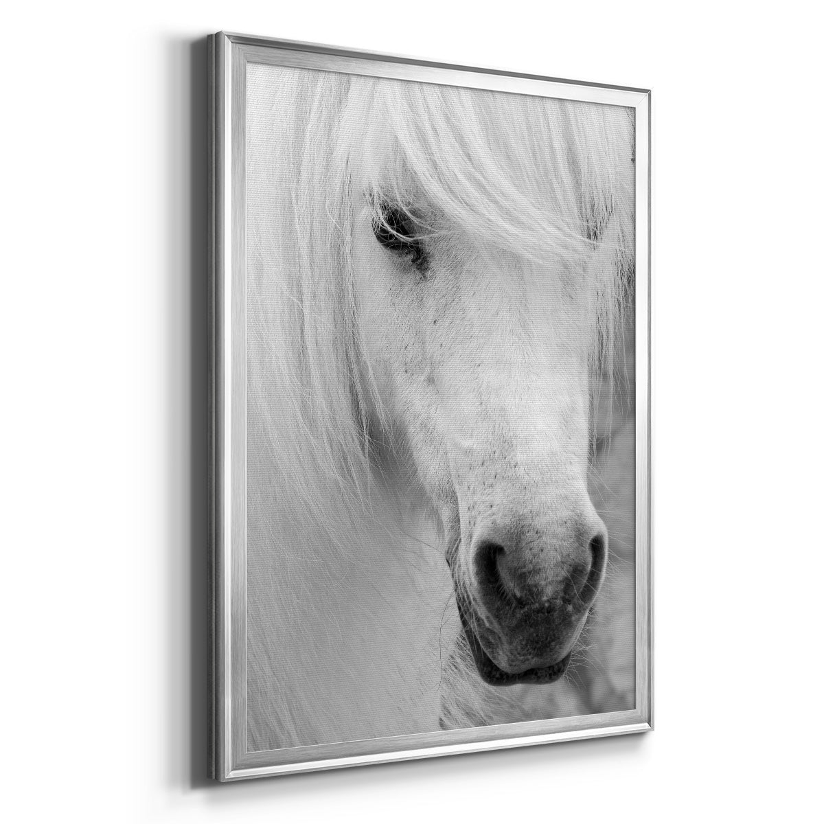 Island Pony I - Modern Framed Canvas Print