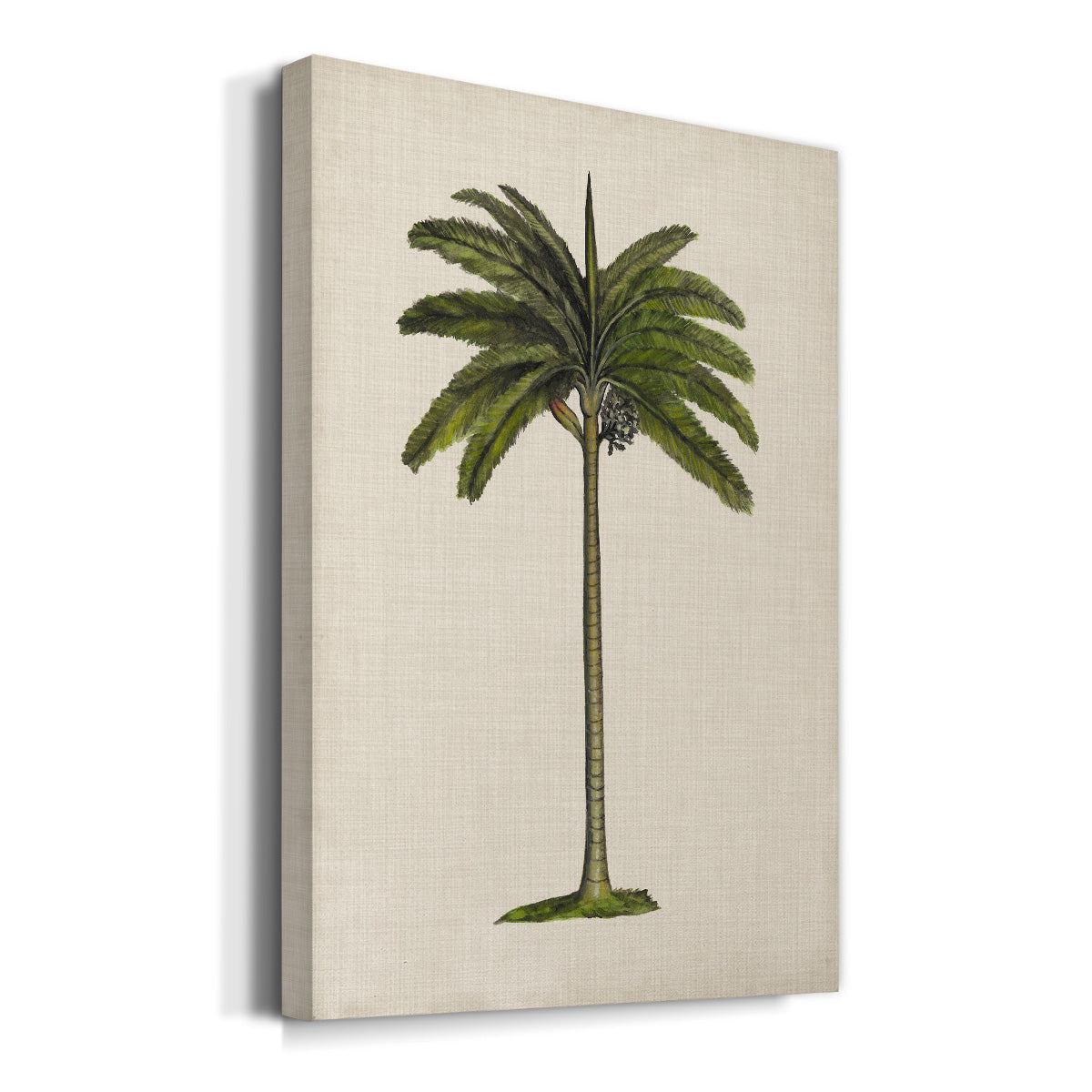 UA CH British Palms IV Premium Gallery Wrapped Canvas - Ready to Hang