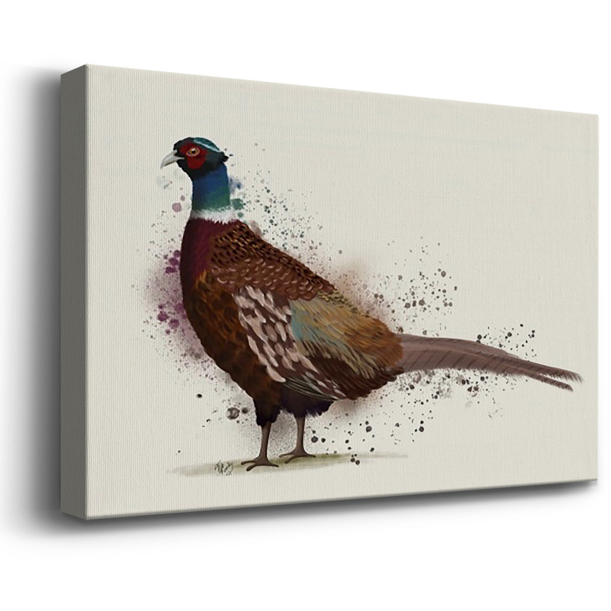 Pheasant Splash 1 Premium Gallery Wrapped Canvas - Ready to Hang