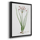 Rose Botanical II - Modern Framed Canvas Print