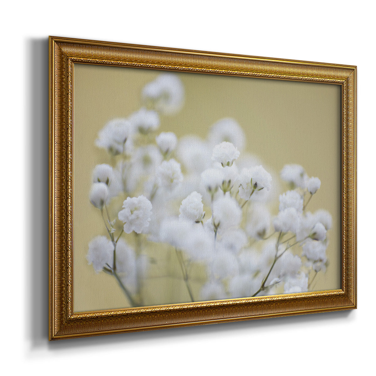 Baby's Breath Study III Premium Framed Canvas- Ready to Hang