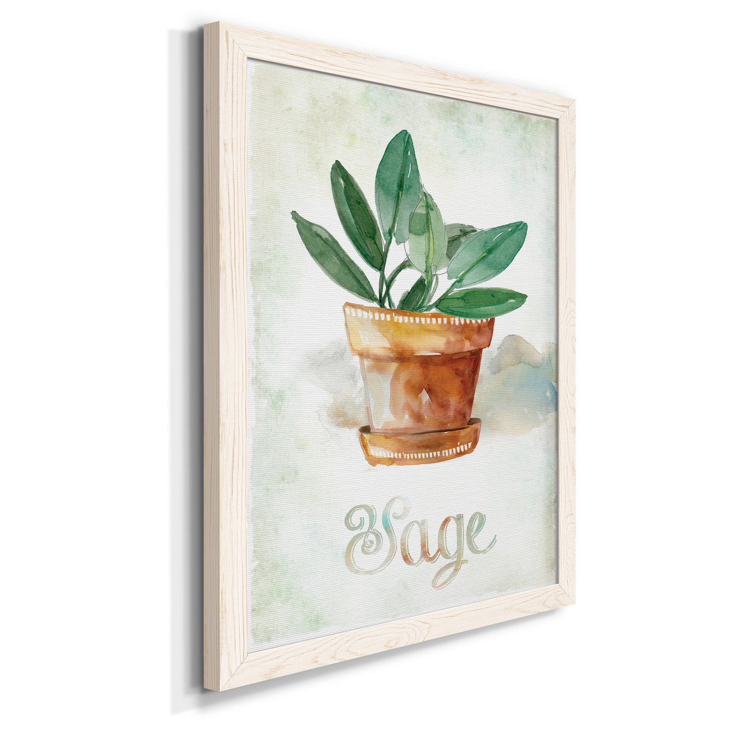 Potted Sage - Premium Canvas Framed in Barnwood - Ready to Hang