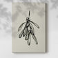 Mistletoe Sketch II - Gallery Wrapped Canvas