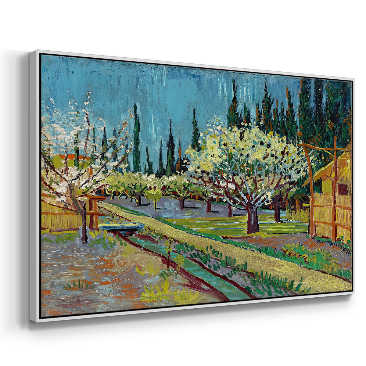 Orchard in Blossom, Bordered by Cypresses, 1888 - Floater Framed Canvas Print