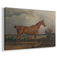 Canvas art print featuring a rural hunting scene with rider and expansive terrain, displayed at an angle