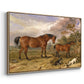 Portrait of Reformer, Blucher, Tory and Crib, Property of Rowland Alston, Esq., M.P., 1835 - Floater Framed Canvas Print