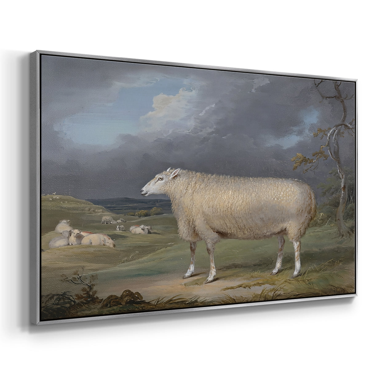 A Border Leicester Ewe, c. 1795-1800 - Floater Framed Canvas Print