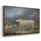 A Border Leicester Ewe, c. 1795-1800 - Floater Framed Canvas Print