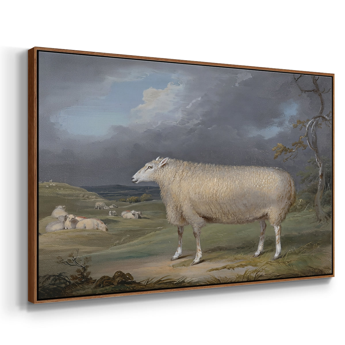 A Border Leicester Ewe, c. 1795-1800 - Floater Framed Canvas Print