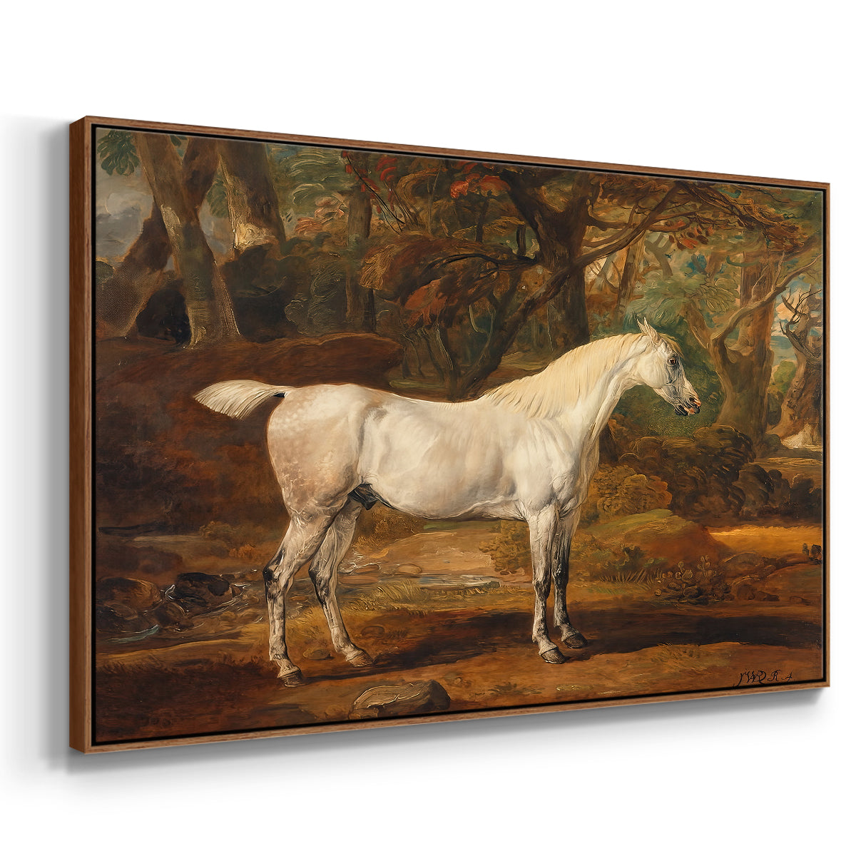 Grey Arabian Stallion, Property of Sir Watkin Williams-Wynn, c. 1817 - Floater Framed Canvas Print