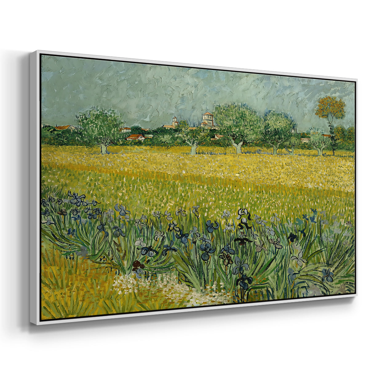 Field with Irises near Arles, 1888 - Floater Framed Canvas Print