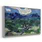 Olive Trees with the Alpilles in the Background, 1889 - Floater Framed Canvas Print