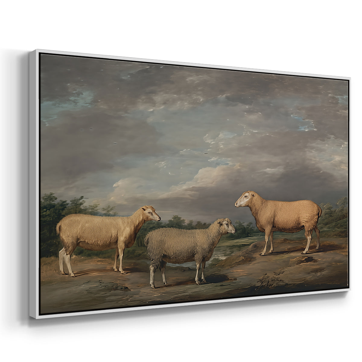 Ryelands Sheep, the King's Ram, the King's Ewe and Lord Somerville's Wether, c. 1801-1807 - Floater Framed Canvas Print