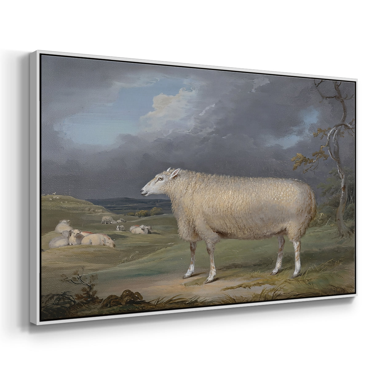 A Border Leicester Ewe, c. 1795-1800 - Floater Framed Canvas Print