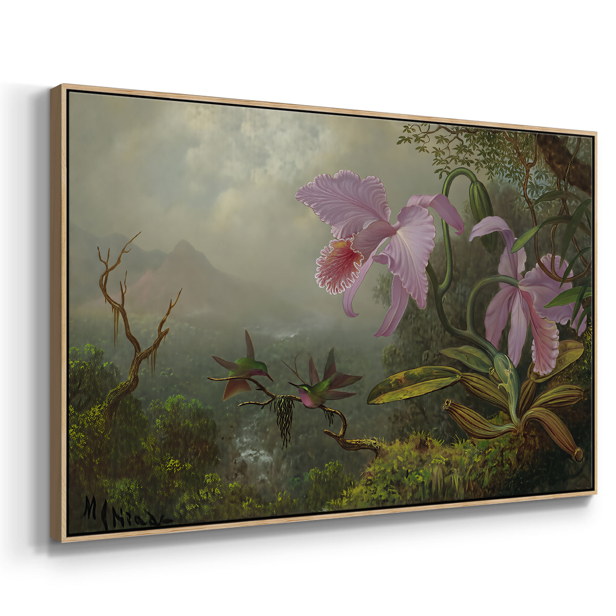 Two Sun Angel Hummingbirds on a Branch, c. 1890-1904 - Floater Framed Canvas Print