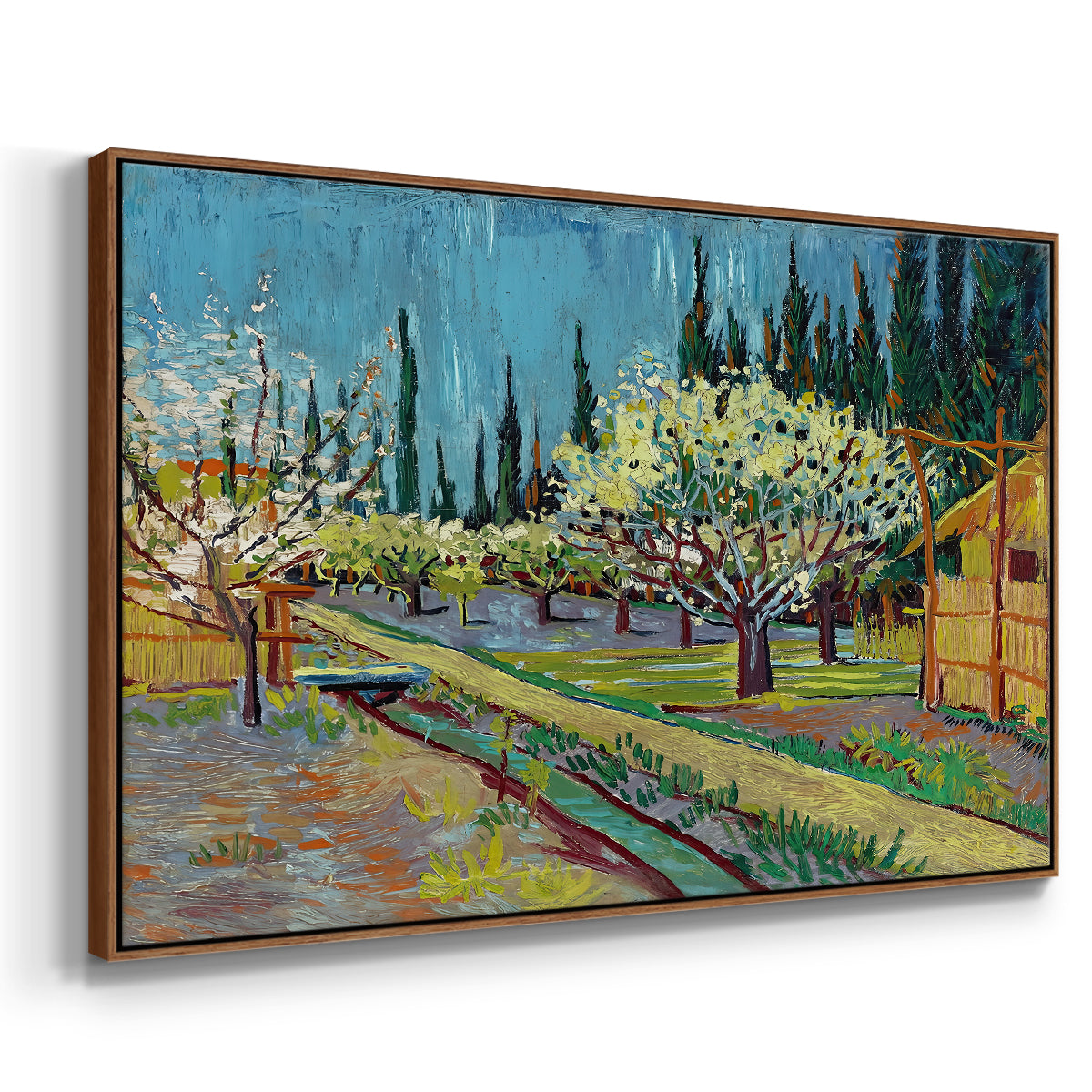 Orchard in Blossom, Bordered by Cypresses, 1888 - Floater Framed Canvas Print