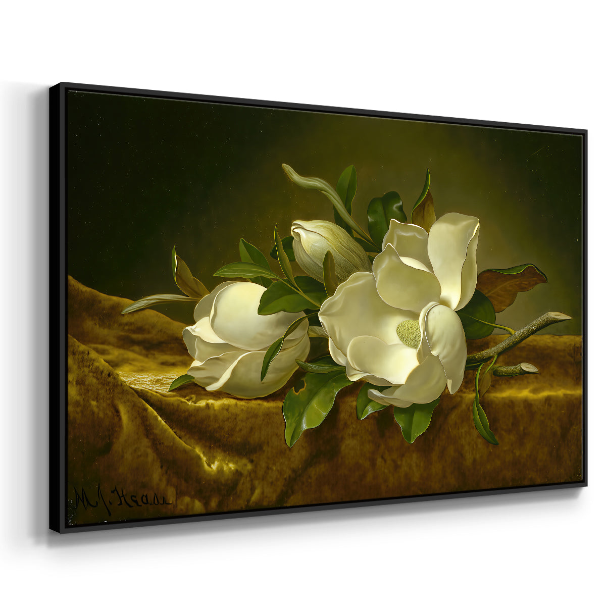 Magnolias on Gold Velvet Cloth, c. 1888-1890 - Floater Framed Canvas Print