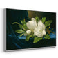 Giant Magnolias on a Blue Velvet Cloth, c. 1890 - Floater Framed Canvas Print