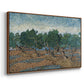 Olive Trees, 1889 - Floater Framed Canvas Print