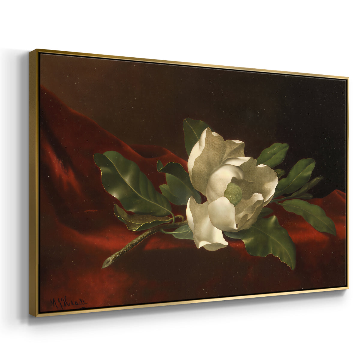 Magnolia on Red Velvet, c. 1885-1890 - Floater Framed Canvas Print