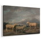Canvas art print featuring a livestock portrait featuring multiple sheep breeds, displayed at an angle