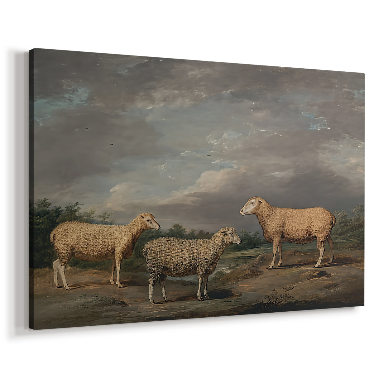 Canvas art print featuring a livestock portrait featuring multiple sheep breeds, displayed at an angle