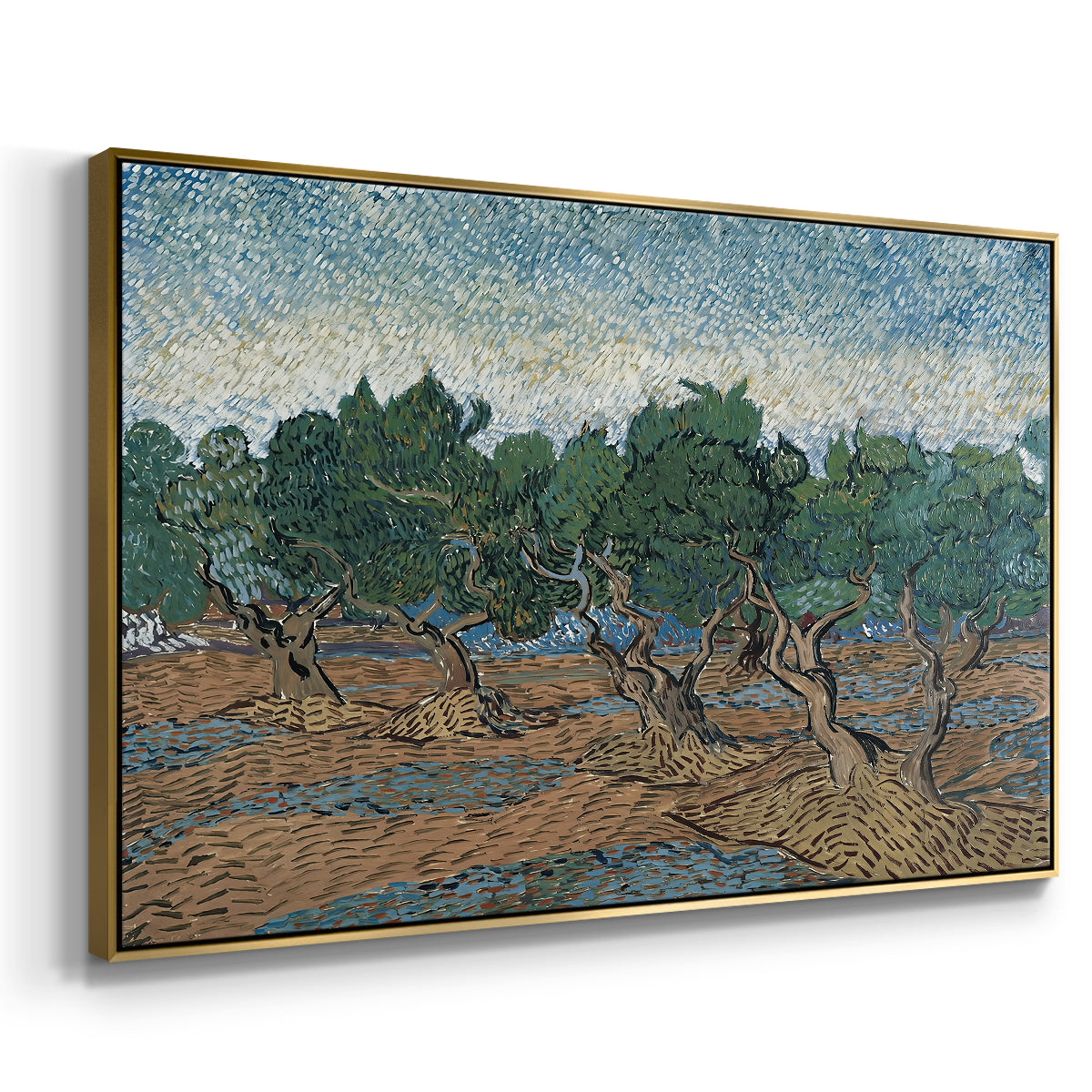 Olive Trees, 1889 - Floater Framed Canvas Print
