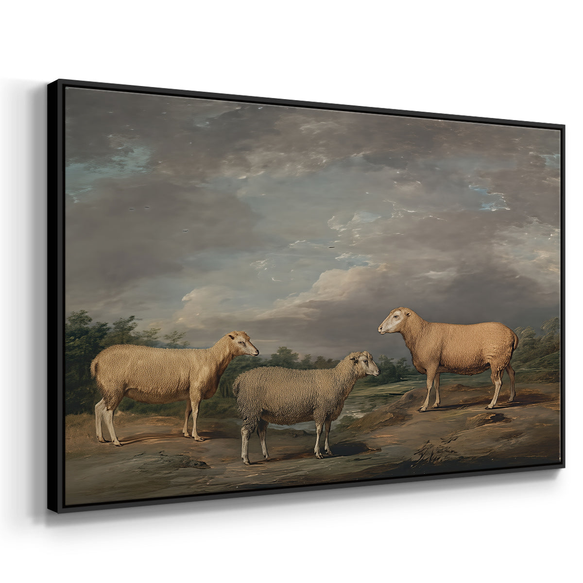 Ryelands Sheep, the King's Ram, the King's Ewe and Lord Somerville's Wether, c. 1801-1807 - Floater Framed Canvas Print