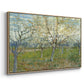 The Pink Orchard, 1888 - Floater Framed Canvas Print