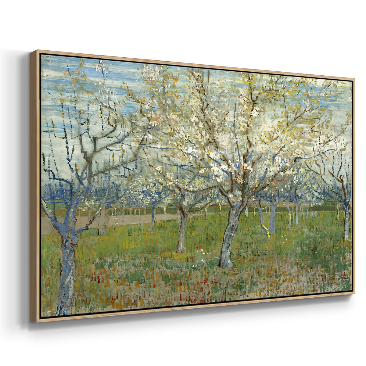 The Pink Orchard, 1888 - Floater Framed Canvas Print