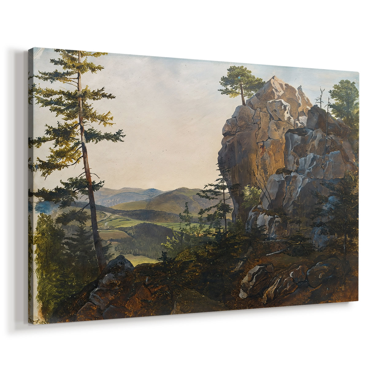 Canvas art print featuring a natural scene with rocks and trees, displayed at an angle