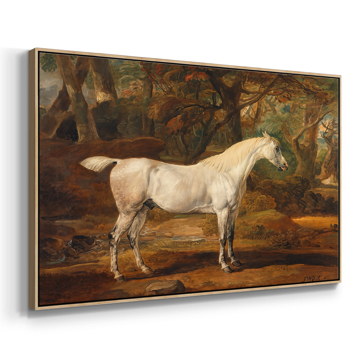 Grey Arabian Stallion, Property of Sir Watkin Williams-Wynn, c. 1817 - Floater Framed Canvas Print