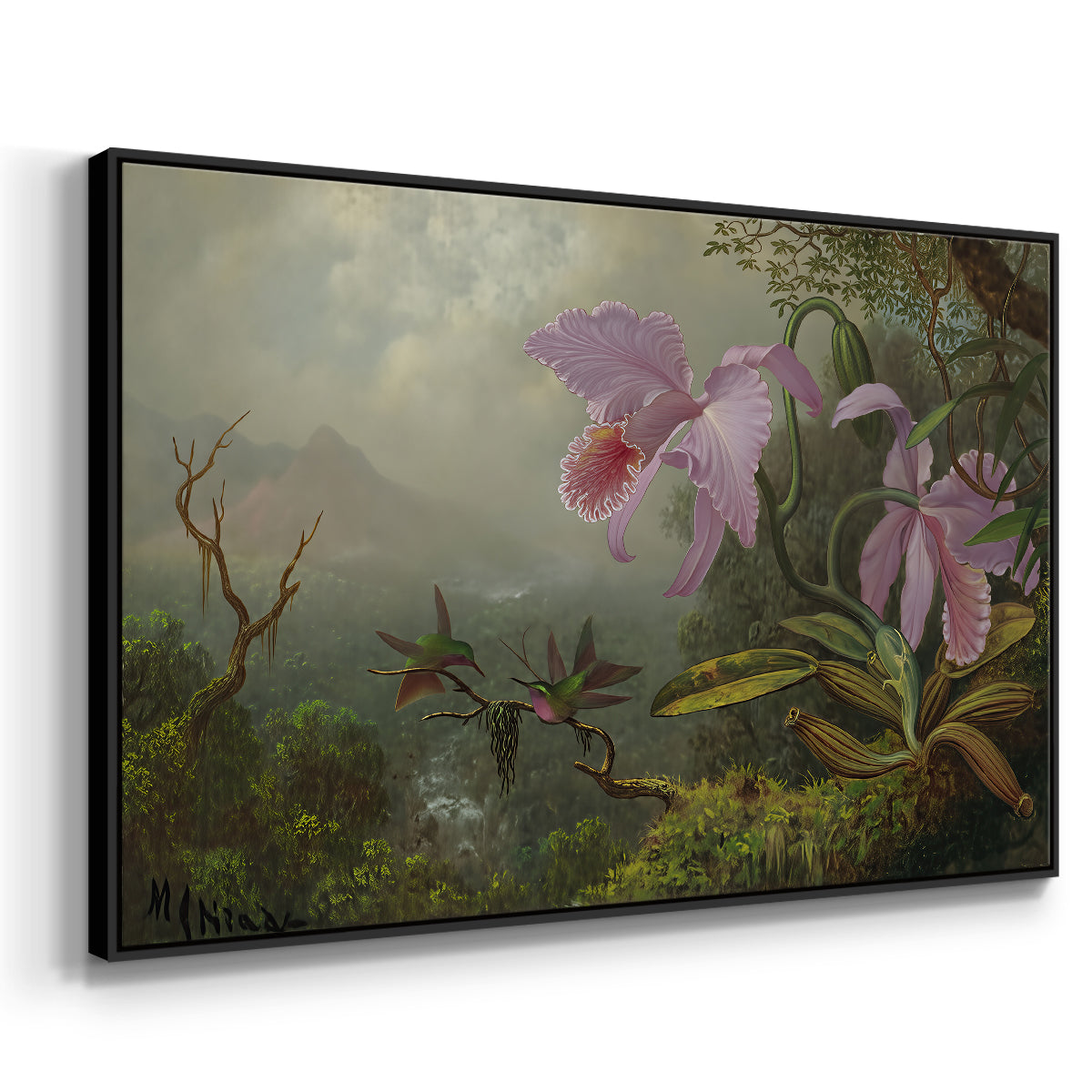 Two Sun Angel Hummingbirds on a Branch, c. 1890-1904 - Floater Framed Canvas Print