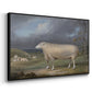 A Border Leicester Ewe, c. 1795-1800 - Floater Framed Canvas Print