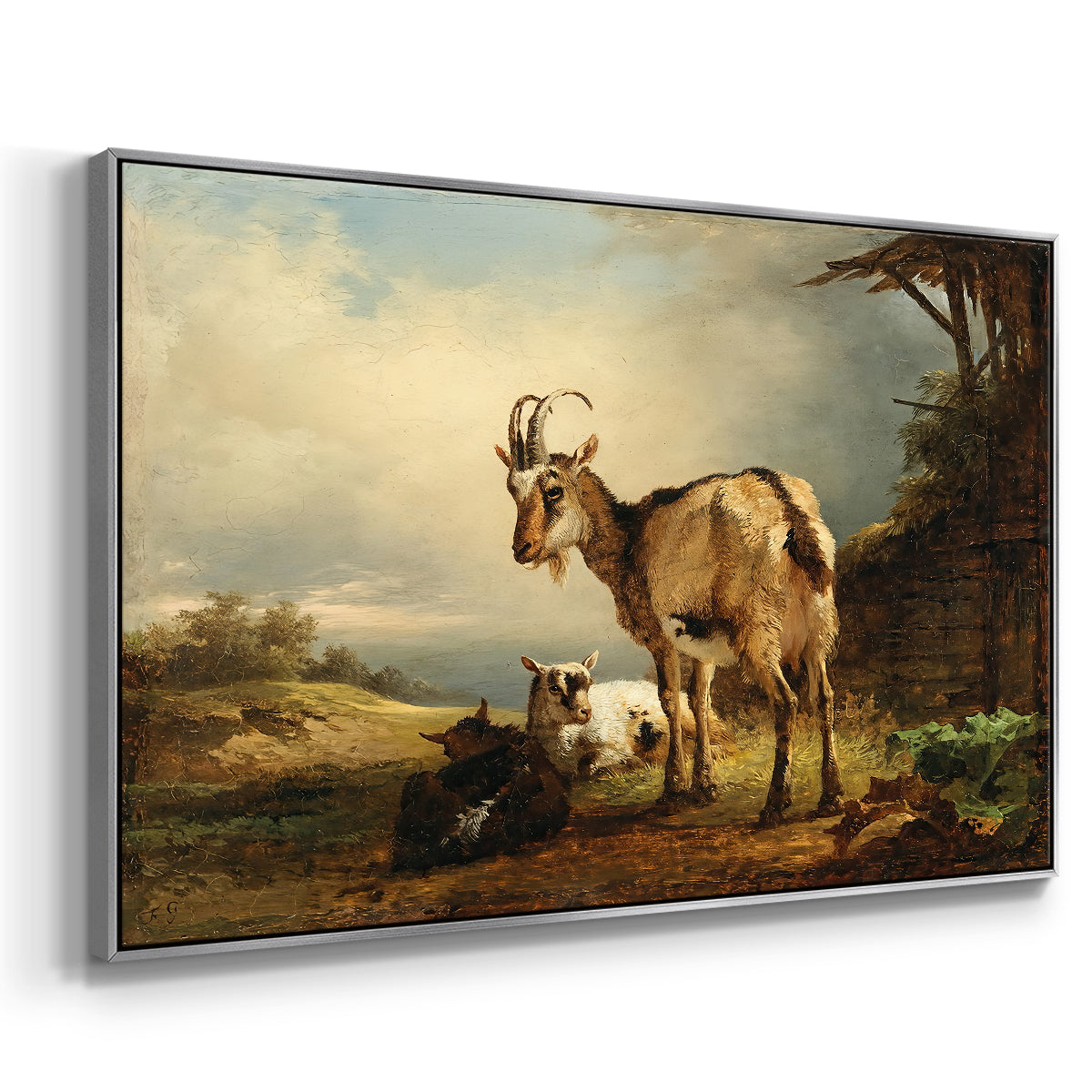 A Goat with Two Kids - Floater Framed Canvas Print