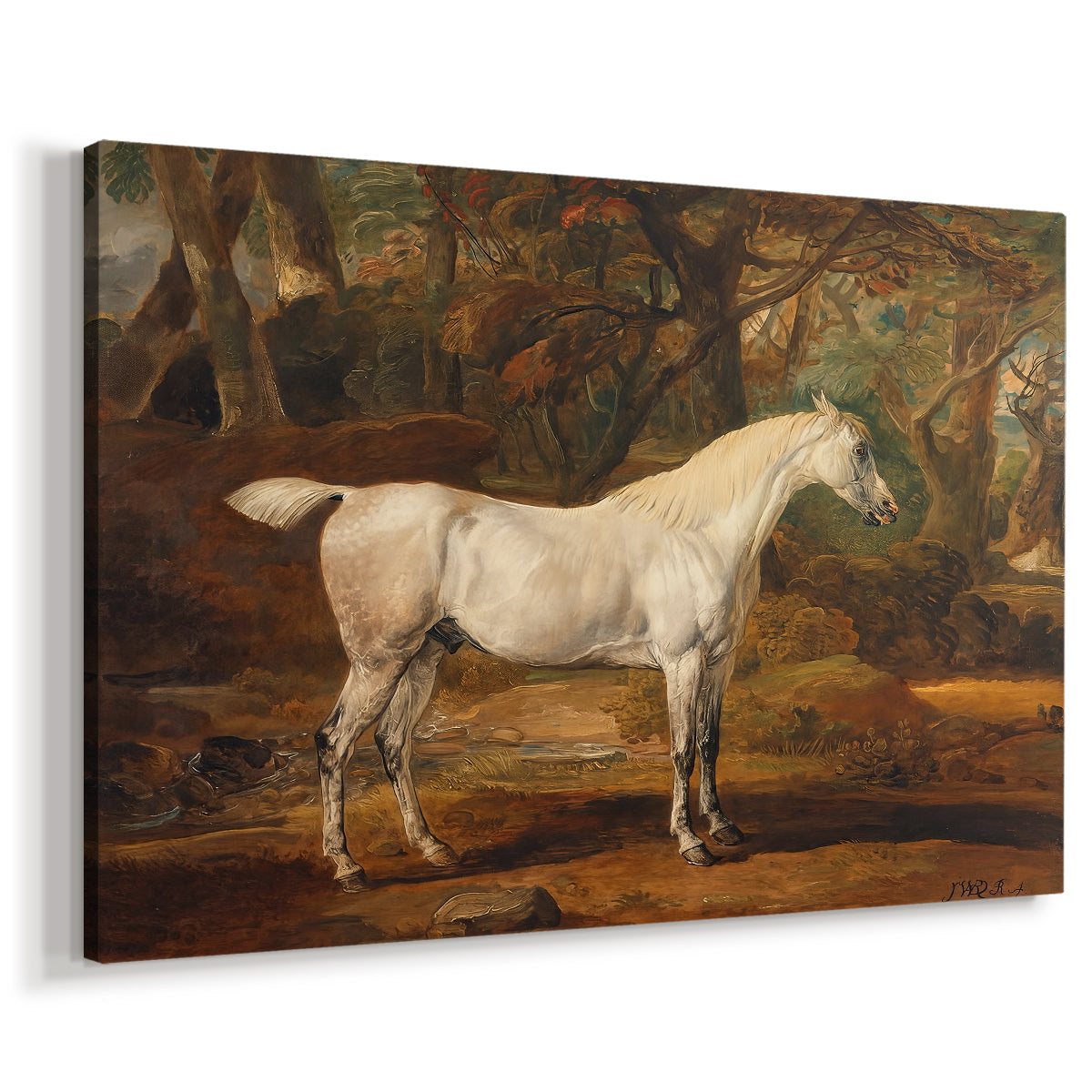 Canvas art print featuring a detailed horse portrait emphasizing form and musculature, displayed at an angle