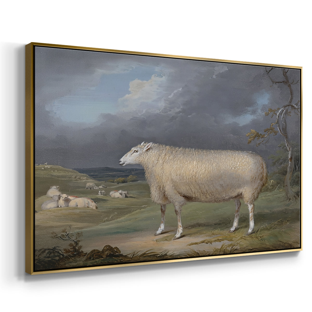A Border Leicester Ewe, c. 1795-1800 - Floater Framed Canvas Print