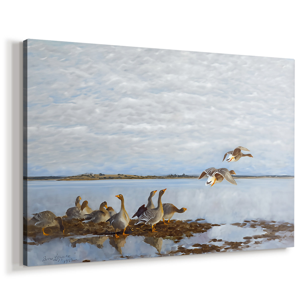 Canvas art print featuring birds standing and resting along shoreline with soft grass and water, displayed at an angle