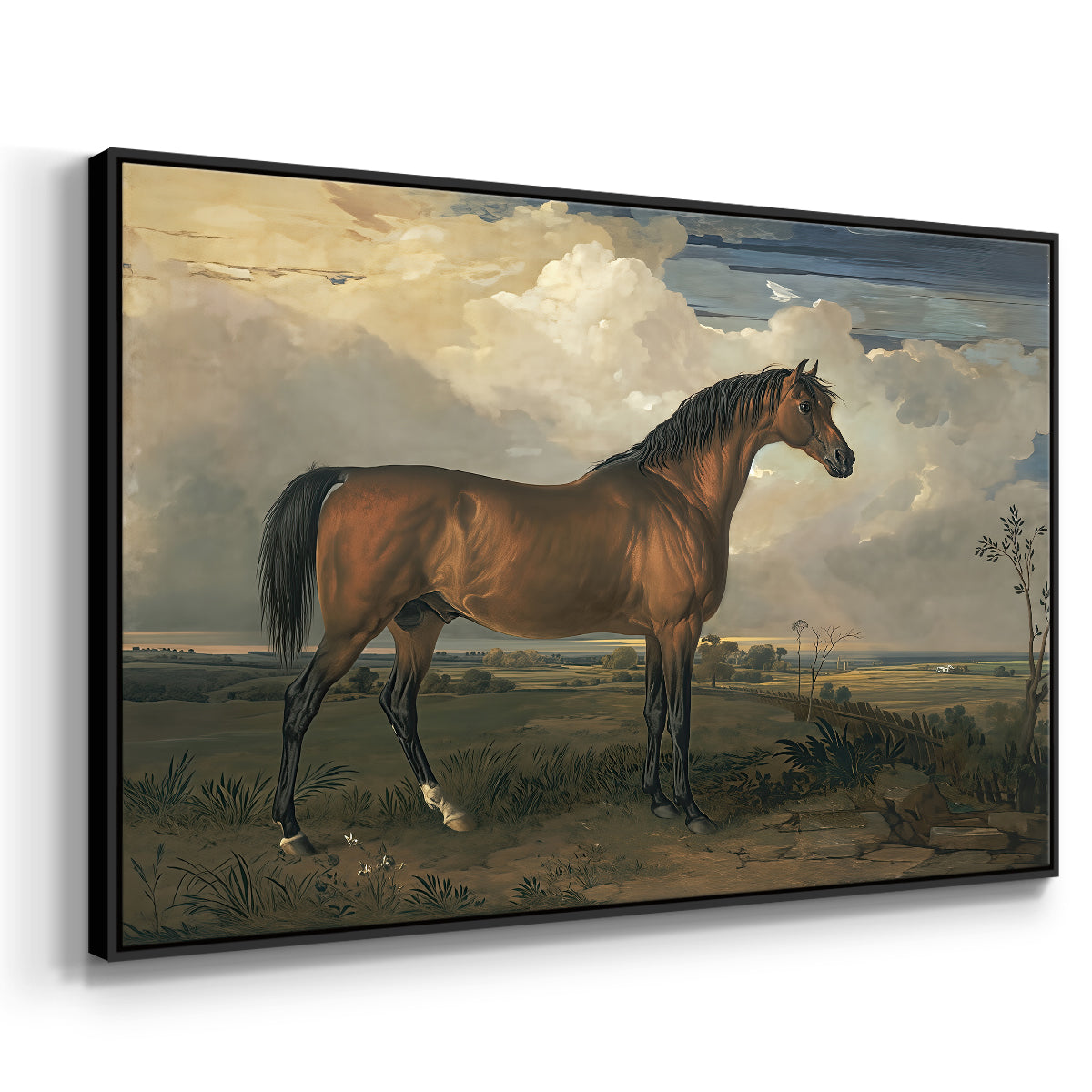 Eagle, A Celebrated Stallion, 1809 - Floater Framed Canvas Print