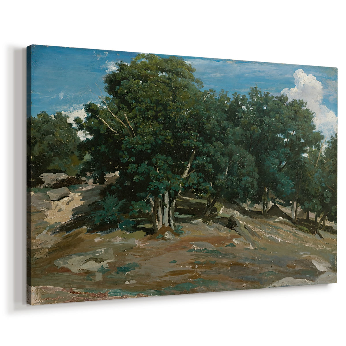 Canvas art print featuring a woodland scene with mature trees and filtered light, displayed at an angle