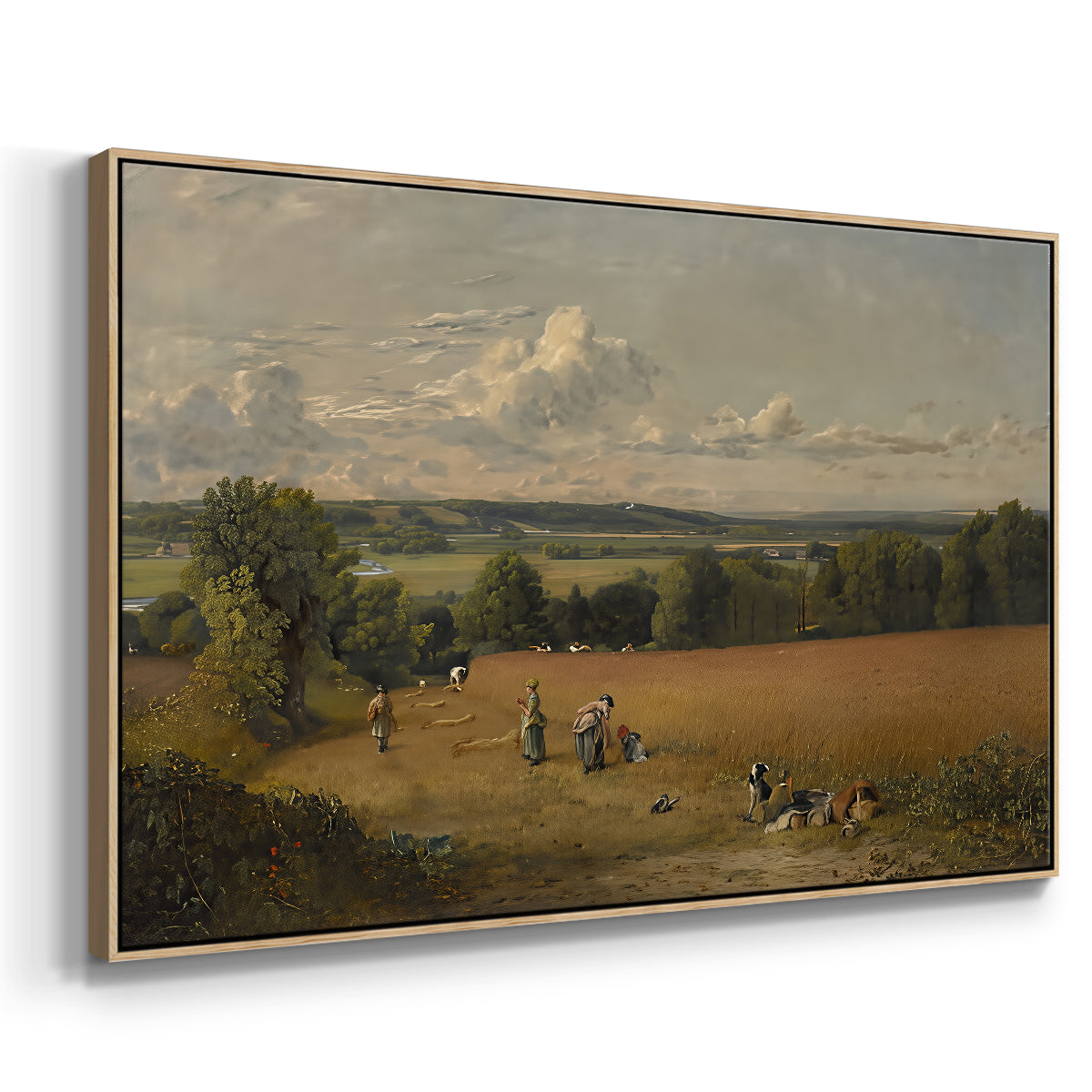 The Wheat Field, 1816 - Floater Framed Canvas Print