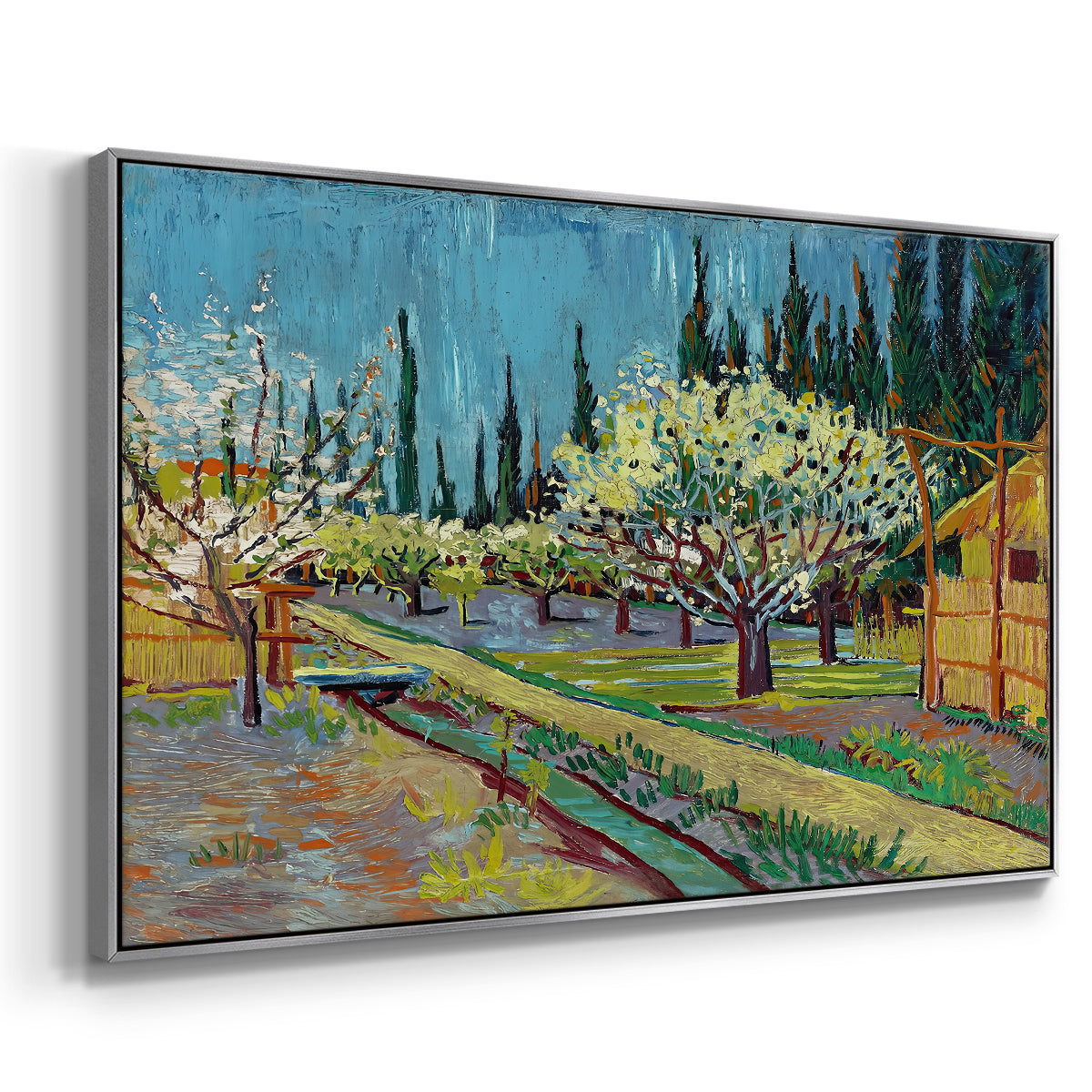 Orchard in Blossom, Bordered by Cypresses, 1888 - Floater Framed Canvas Print