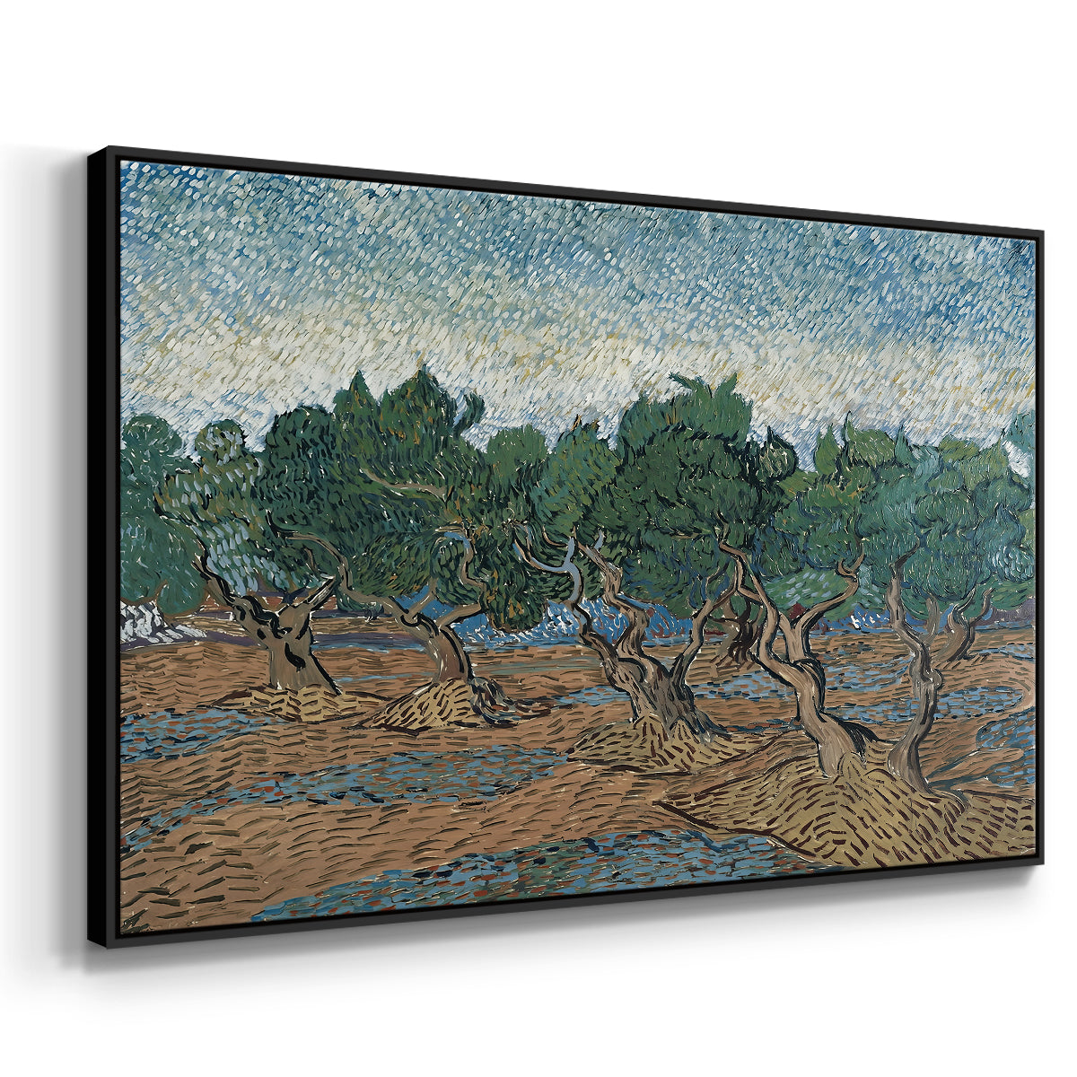 Olive Trees, 1889 - Floater Framed Canvas Print