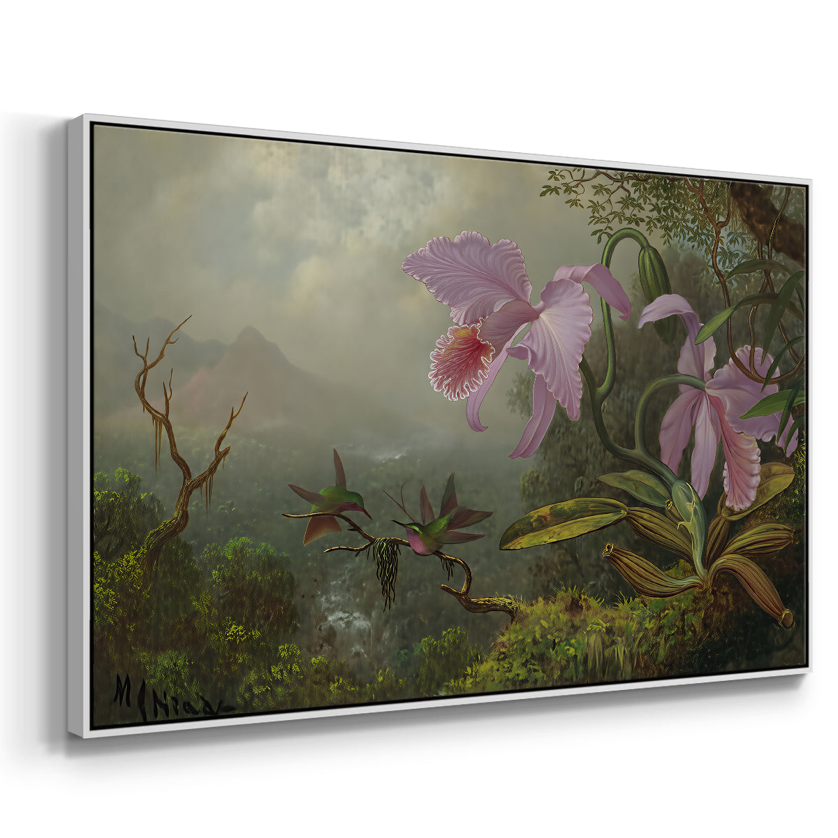 Two Sun Angel Hummingbirds on a Branch, c. 1890-1904 - Floater Framed Canvas Print