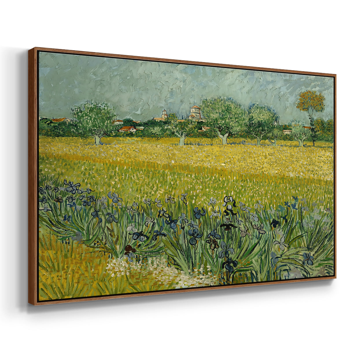 Field with Irises near Arles, 1888 - Floater Framed Canvas Print
