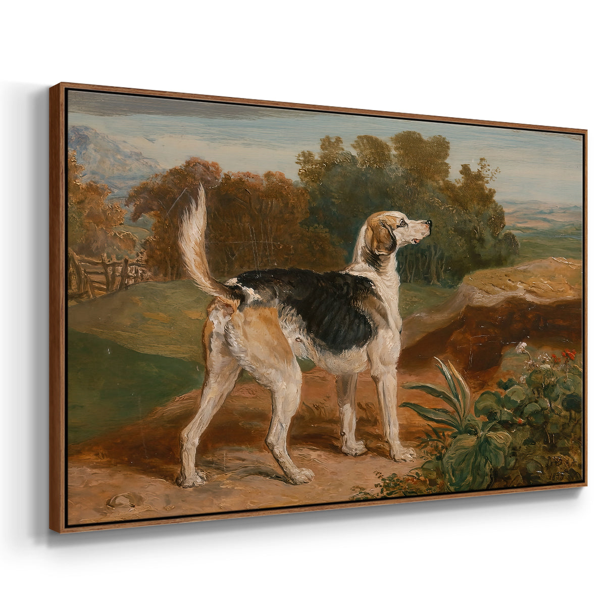 Ravager, One of the Lambton Hounds, 1835 - Floater Framed Canvas Print