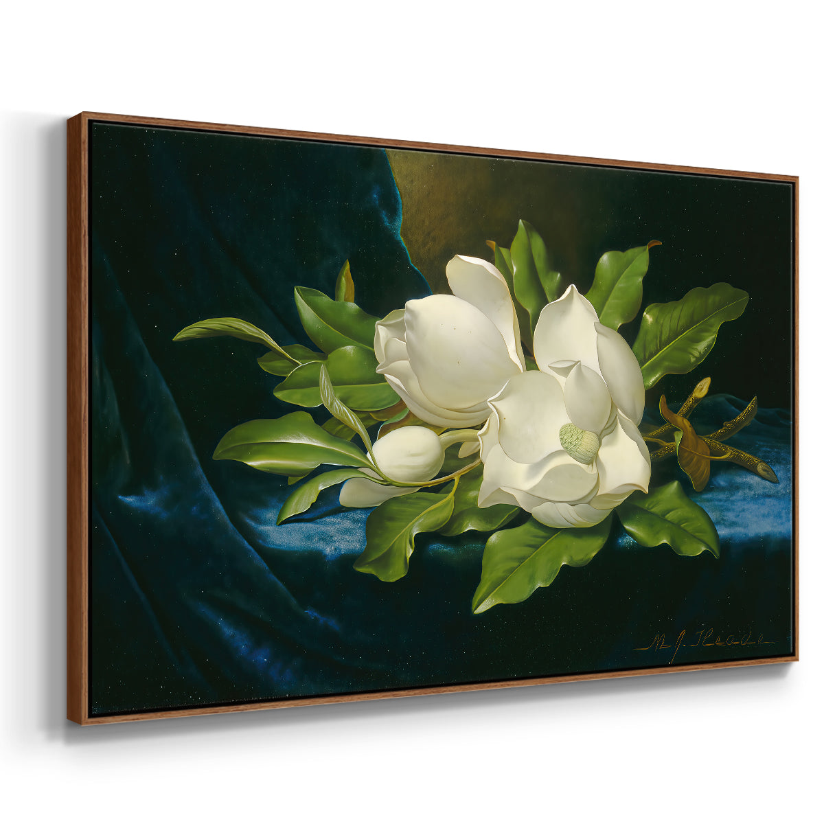 Giant Magnolias on a Blue Velvet Cloth, c. 1890 - Floater Framed Canvas Print