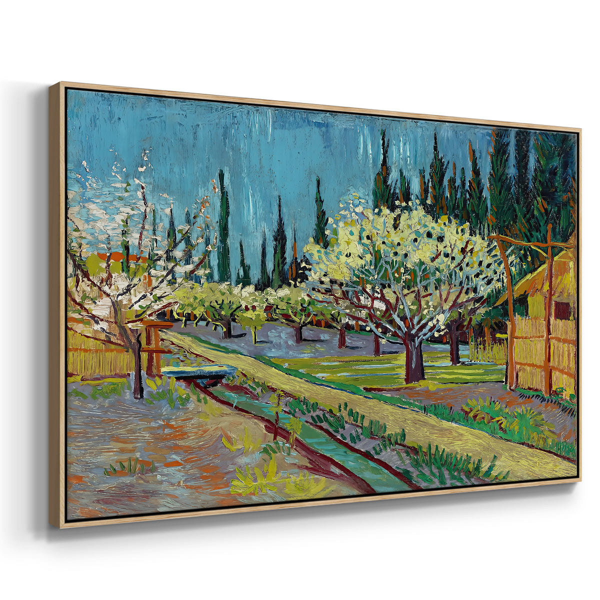 Orchard in Blossom, Bordered by Cypresses, 1888 - Floater Framed Canvas Print