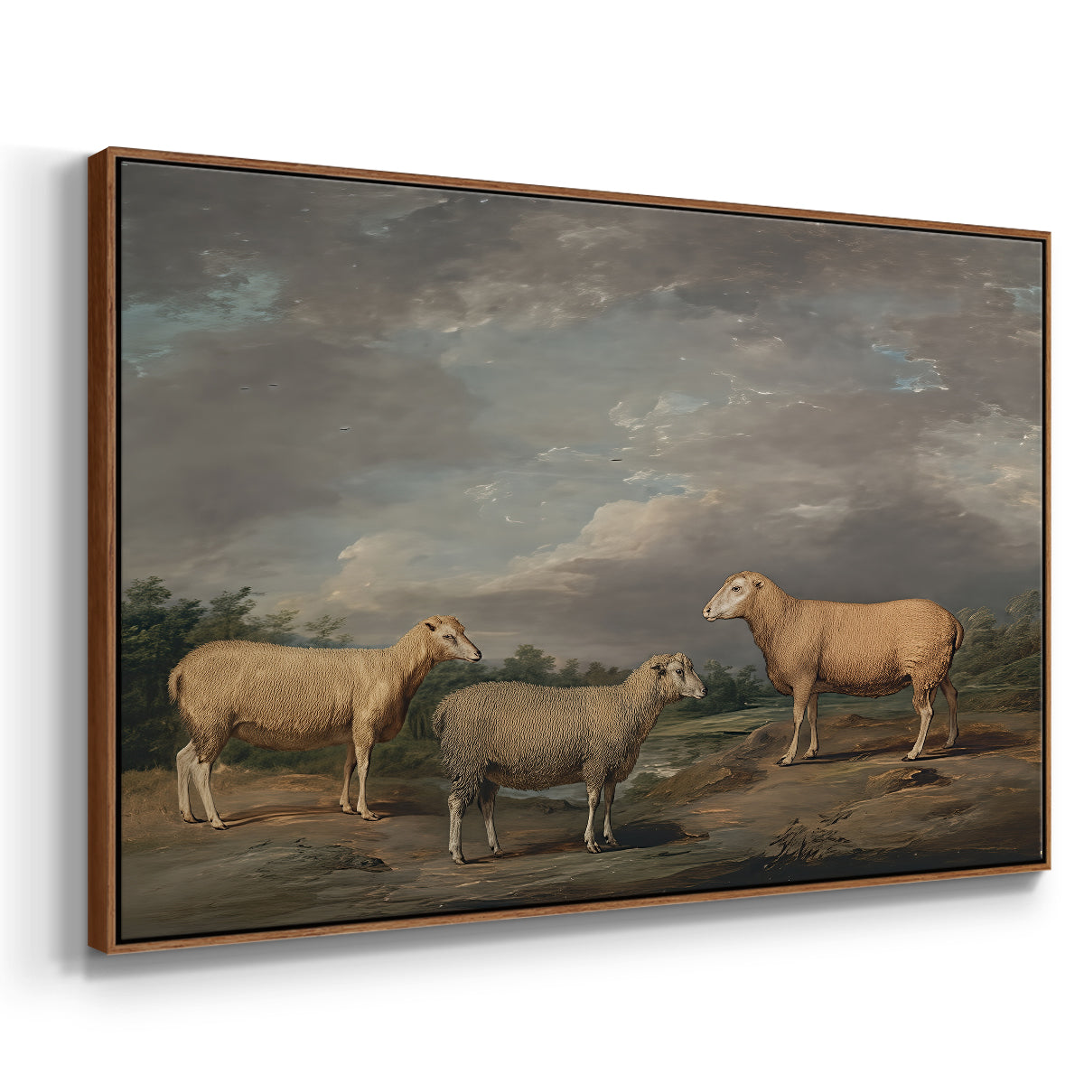 Ryelands Sheep, the King's Ram, the King's Ewe and Lord Somerville's Wether, c. 1801-1807 - Floater Framed Canvas Print